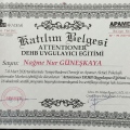 Resmi büyüt: certificate 3