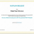 Resmi büyüt: certificate 11
