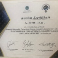 Resmi büyüt: certificate 1