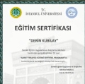 Resmi büyüt: certificate 4