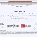 Resmi büyüt: certificate 1