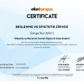 Resmi büyüt: certificate 14
