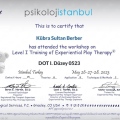 Resmi büyüt: certificate 6