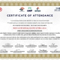 Resmi büyüt: certificate 1