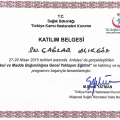 Resmi büyüt: certificate 10