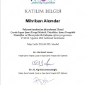 Resmi büyüt: certificate 6