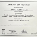 Resmi büyüt: certificate 1