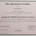Resmi büyüt: certificate 1