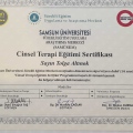 Resmi büyüt: certificate 2