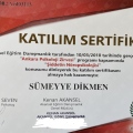 Resmi büyüt: certificate 8