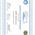 Resmi büyüt: certificate 43