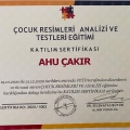 Resmi büyüt: certificate 3