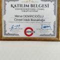 Resmi büyüt: certificate 20