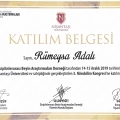 Resmi büyüt: certificate 14