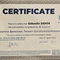 Resmi büyüt: certificate 4