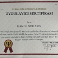 Resmi büyüt: certificate 5