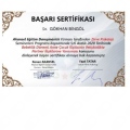 Resmi büyüt: certificate 9