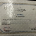 Resmi büyüt: certificate 33
