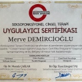 Resmi büyüt: certificate 24