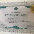 Resmi büyüt: certificate 6