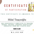 Resmi büyüt: certificate 8