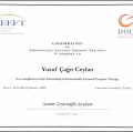 Resmi büyüt: certificate 2