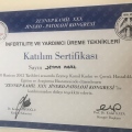 Resmi büyüt: certificate 14