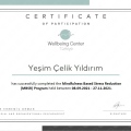 Resmi büyüt: certificate 4