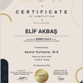 Resmi büyüt: certificate 15