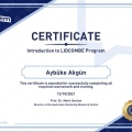 Resmi büyüt: certificate 3