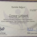 Resmi büyüt: certificate 17