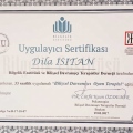 Resmi büyüt: certificate 3