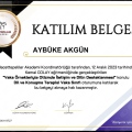 Resmi büyüt: certificate 18