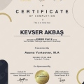 Resmi büyüt: certificate 2