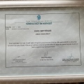 Resmi büyüt: certificate 7