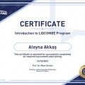 Resmi büyüt: certificate 3