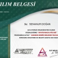 Resmi büyüt: certificate 11