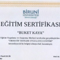 Resmi büyüt: certificate 1