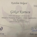 Resmi büyüt: certificate 16