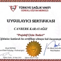 Resmi büyüt: certificate 8