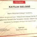 Resmi büyüt: certificate 1