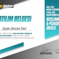 Resmi büyüt: certificate 4