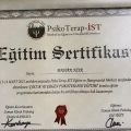 Resmi büyüt: certificate 2