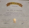Resmi büyüt: certificate 3