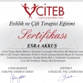 Resmi büyüt: certificate 2