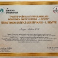 Resmi büyüt: certificate 12