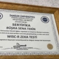 Resmi büyüt: certificate 8