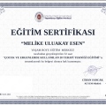 Resmi büyüt: certificate 17