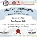 Resmi büyüt: certificate 13