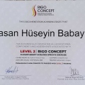 Resmi büyüt: certificate 1